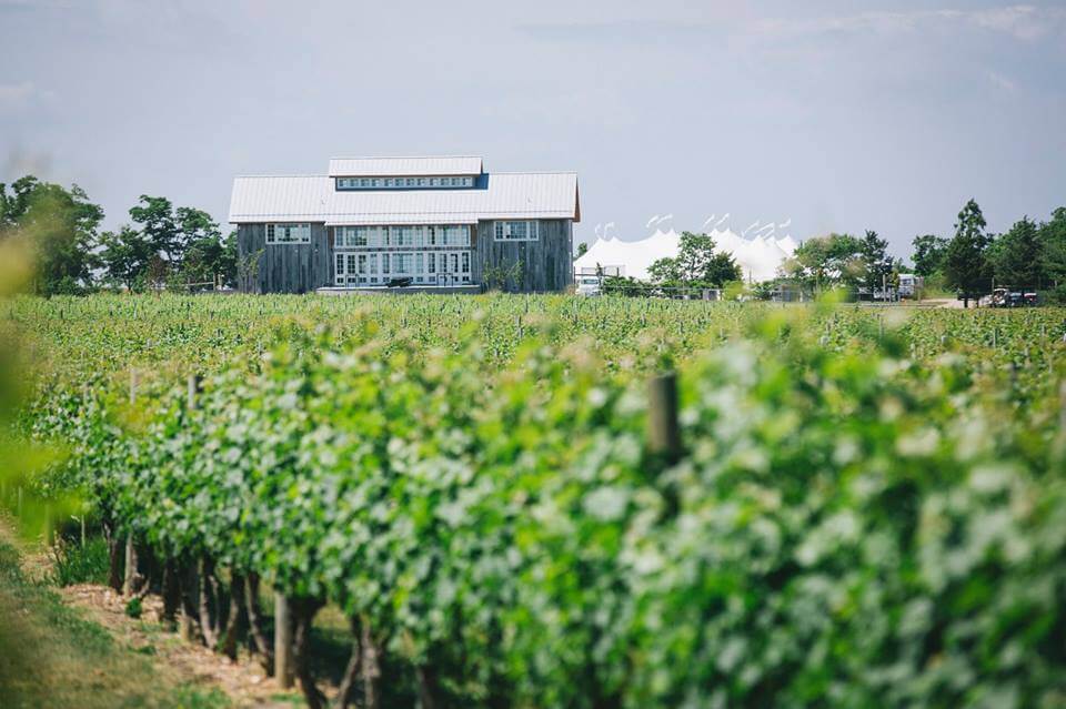 5 Of The Best Vineyards In Long Island New York About Time Magazine